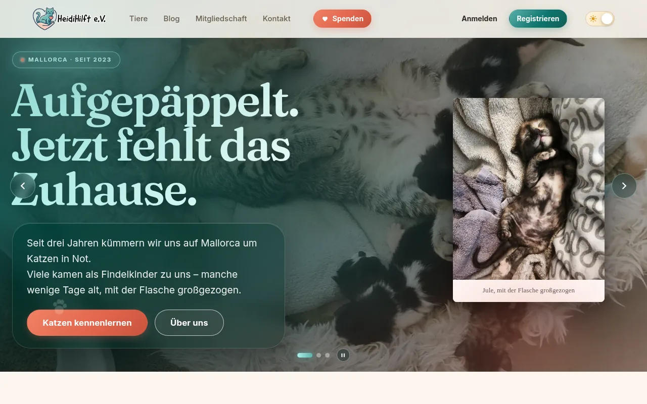Home page of the association platform HeidiHilft e.V.